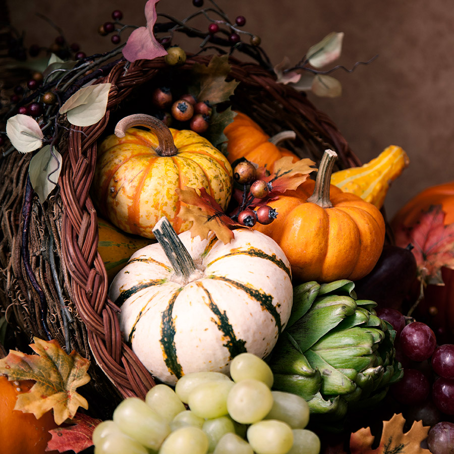 Horn of plenty filled with multi-colored gourds